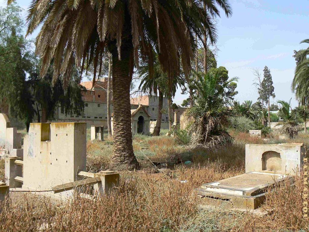 RELIZANE 2009 le cimetiere  (18).jpg